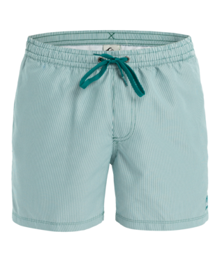 Quicksilver Everyday Deluxe 15" Zwembroek