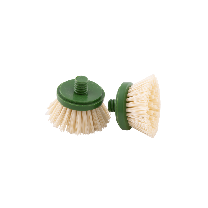 Point-Virgule Borstelkop