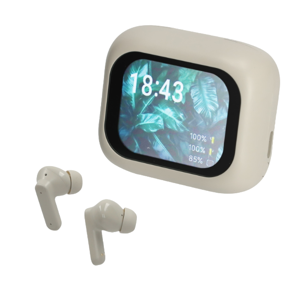 Brainz ANC/ENC Display Earbuds