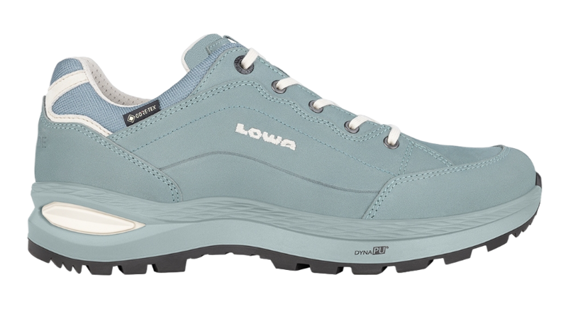 Lowa Renegade Evo GTX Lo Wandelschoenen