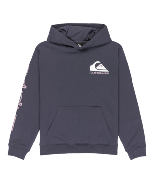 Quicksilver Omni Logo Hoodie Junior