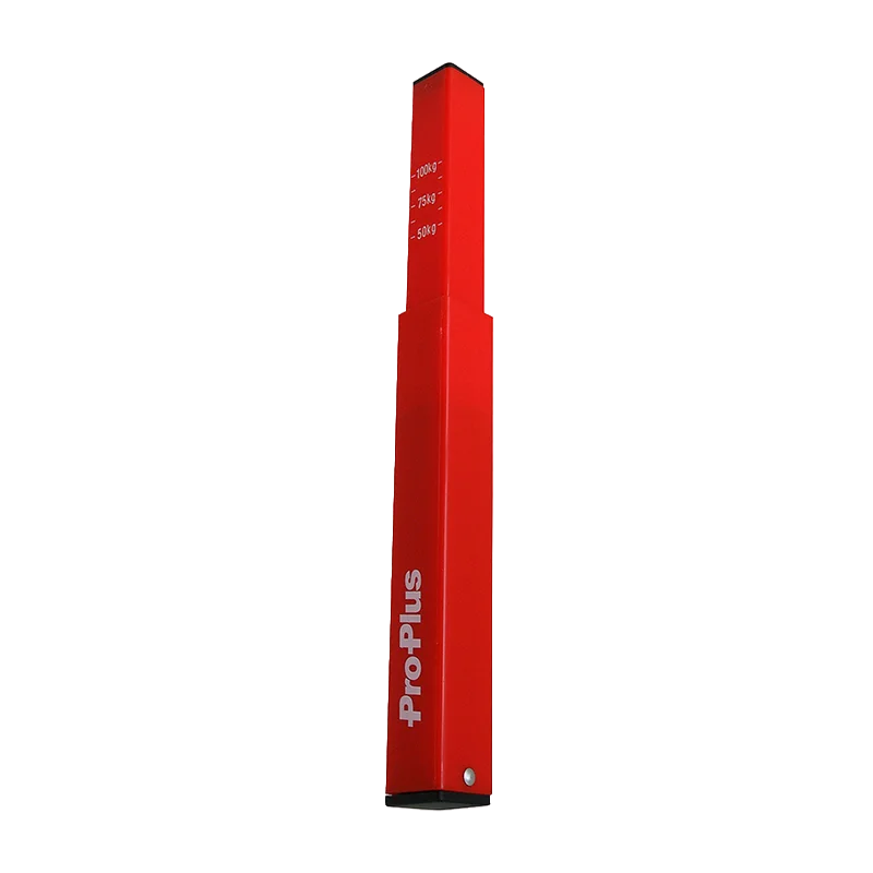 Pro Plus DISSELWEGER