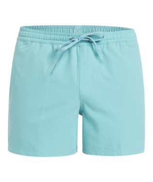 Quicksilver Everyday Surfwash Volley 15" Zwembroek