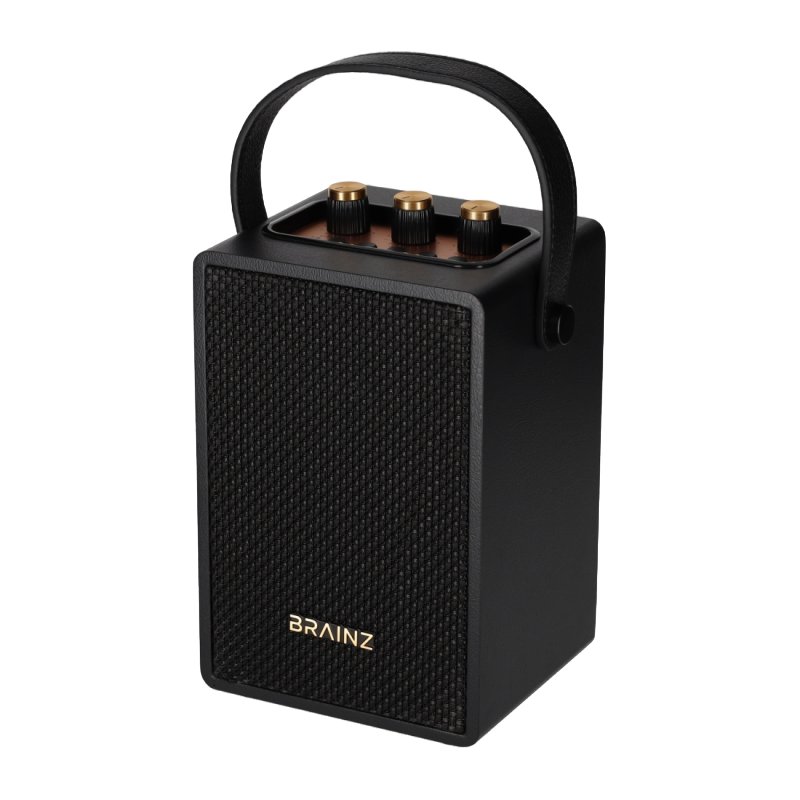 Brainz Retro Speaker
