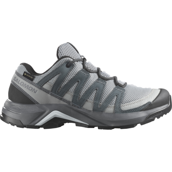 Salomon X-Adventure Recon GTX Wandelschoenen