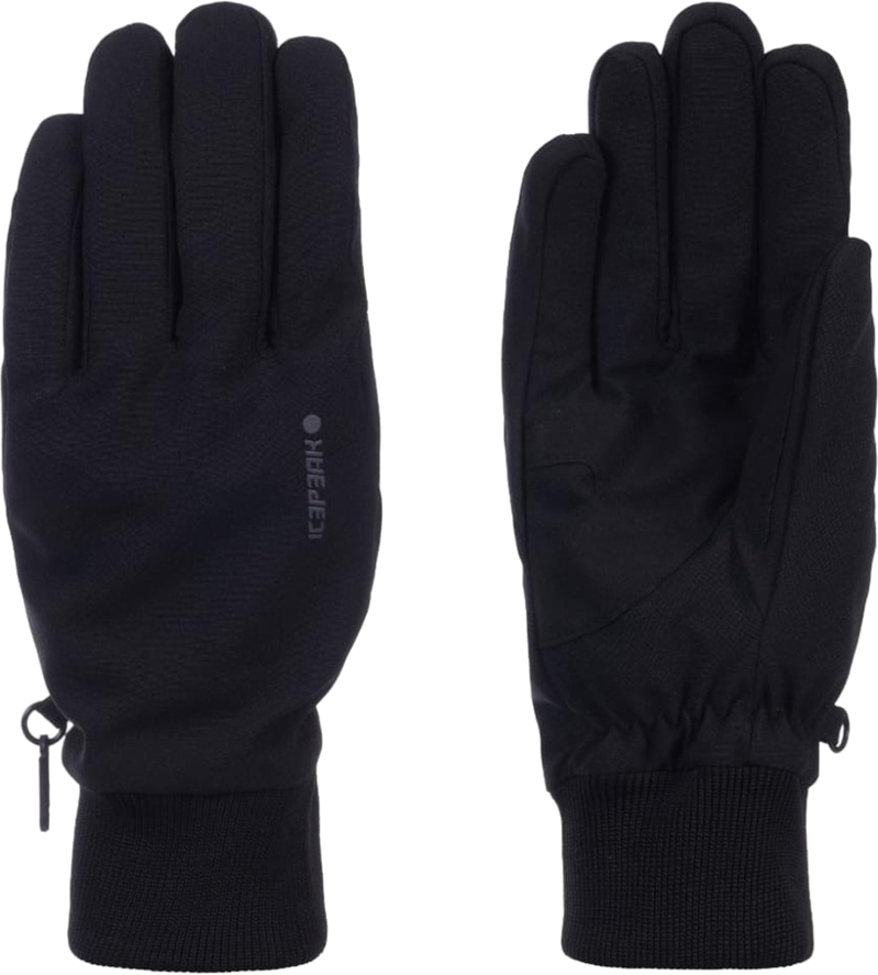 Icepeak Hartwell Handschoenen