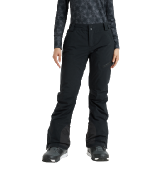 Roxy GORE-TEX Stretch Spridle Skibroek