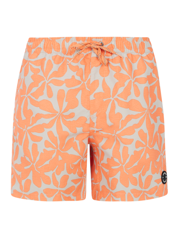 Protest Baza Zwembroek