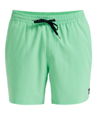 Quicksilver Surfsilk Scallop 16" Zwembroek