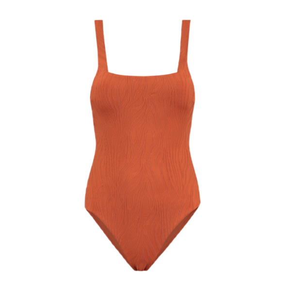 Shiwi Renee Swimsuit Langkawi Zebra Structure