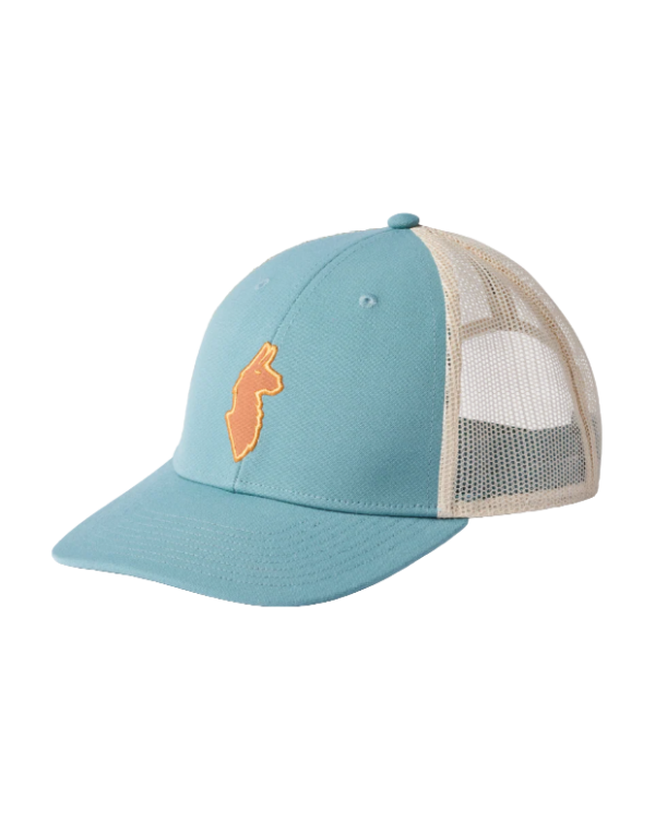 Cotopaxi Llama Trucker Pet