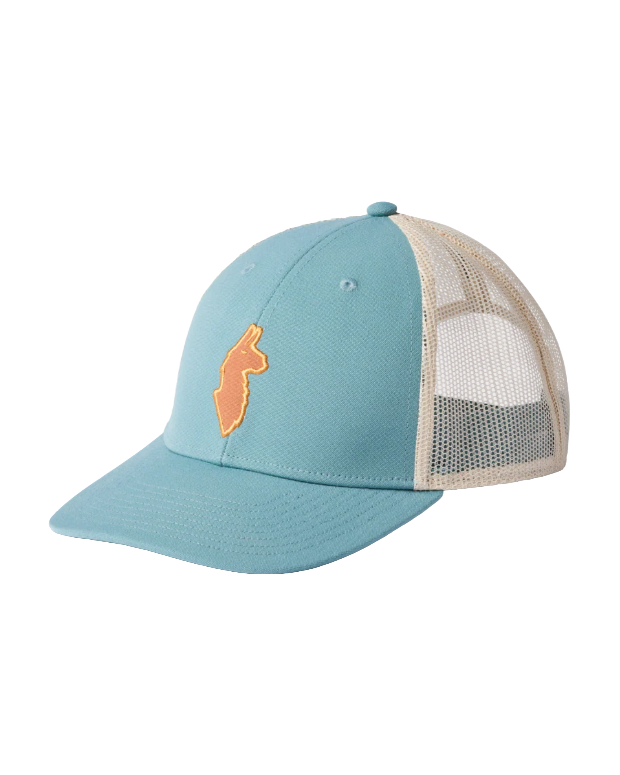 Cotopaxi Llama Trucker Pet