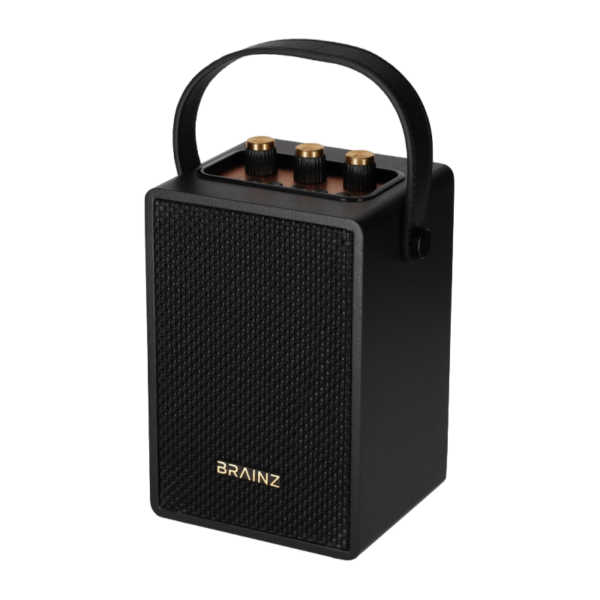 Brainz Retro Speaker