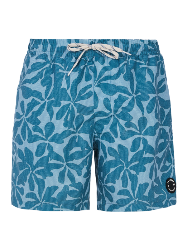 Protest Baza Zwembroek