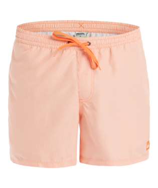 Quicksilver Everyday Deluxe 15" Zwembroek